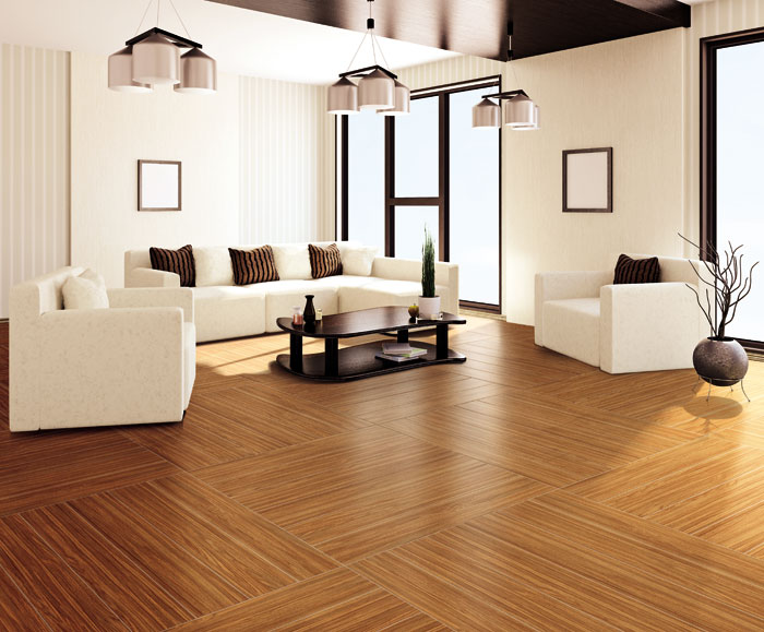 最美，不外当阳光赶上丛林