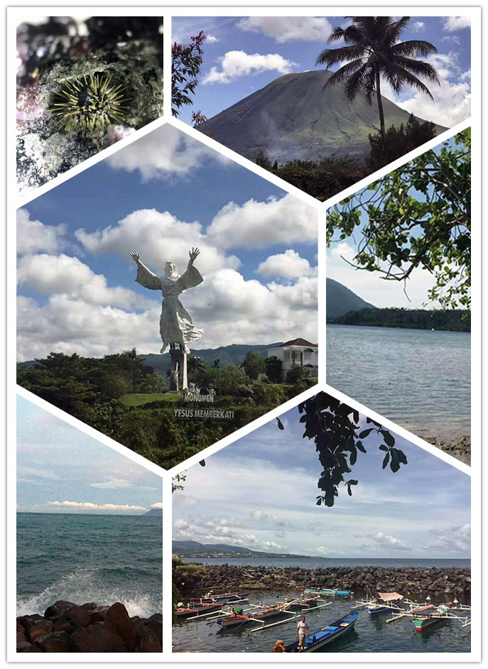 J9集团直营·(中国)官方网站