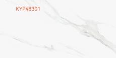 通体大理石KYP48301定造